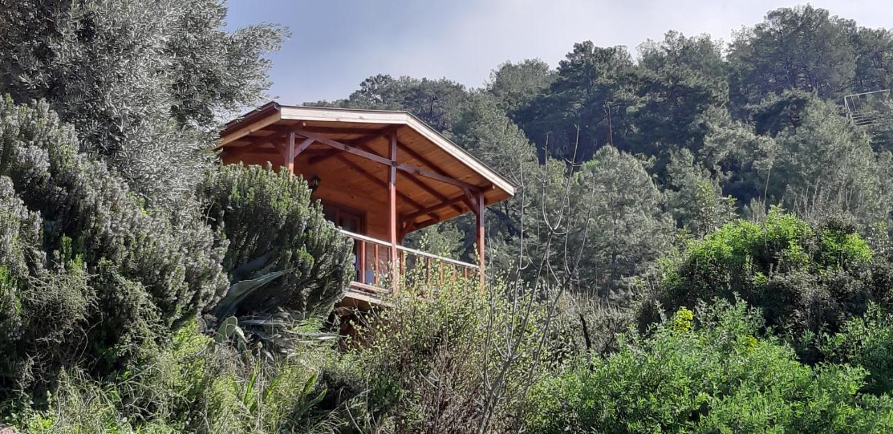 Cedit Casa Roja 아파트 외부 사진